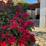 Apollo Romantic Sea View Villa Kiveri