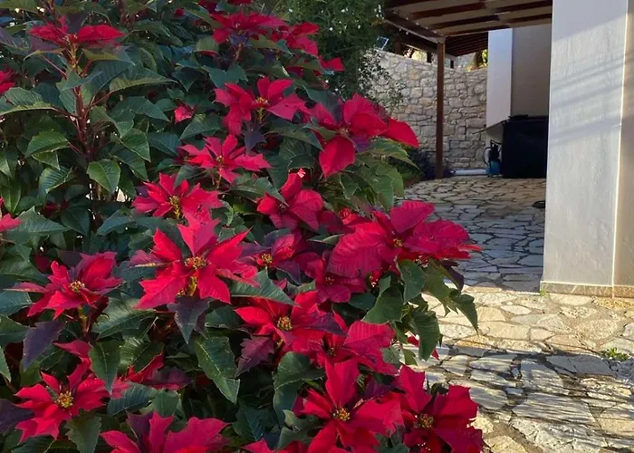 Apollo Romantic Sea View Villa Kivéri