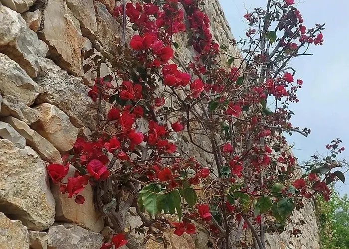 Apollo Romantic Sea View Villa Kivérion